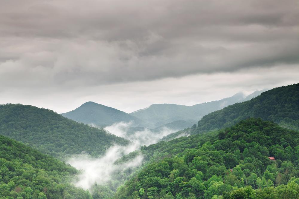 things to do in Pigeon Forge on a rainy day