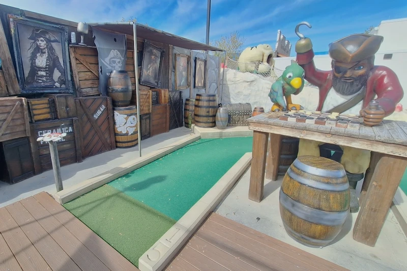 Pirate and parrot with map