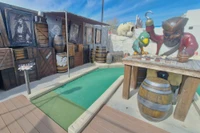 Pirate and parrot with map