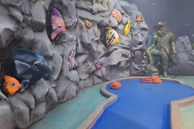 Mermaid Course with fish